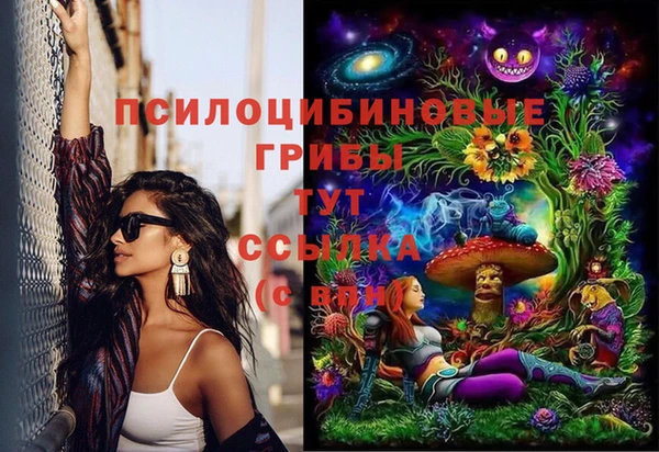 ешки Кукмор