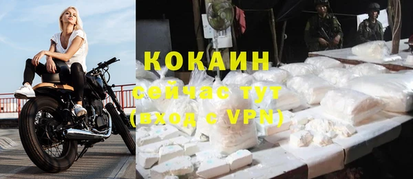 ешки Кукмор