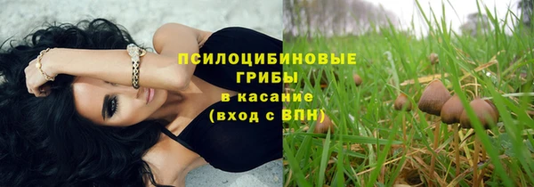 твердый Липки